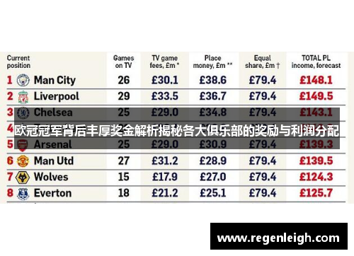 欧冠冠军背后丰厚奖金解析揭秘各大俱乐部的奖励与利润分配